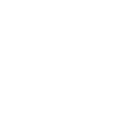 salads salads